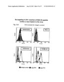 RETARGETING OF RAT PARVOVIRUS H-1PV TO CANCER CELLS THROUGH GENETIC     ENGINEERING OF ITS CAPSID diagram and image