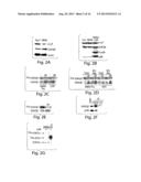 METHODS AND PRODUCTS RELATING TO GSK3SS REGULATION diagram and image