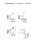 METHODS AND PRODUCTS RELATING TO GSK3SS REGULATION diagram and image