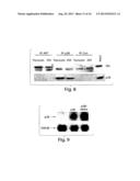 METHODS AND PRODUCTS RELATING TO GSK3SS REGULATION diagram and image