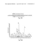 METHODS AND PRODUCTS RELATING TO GSK3SS REGULATION diagram and image