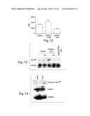 METHODS AND PRODUCTS RELATING TO GSK3SS REGULATION diagram and image