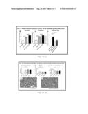 Methods and Compositions for the Inhibition of Fructokinase diagram and image