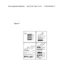 ErbB3 BINDING ANTIBODY diagram and image