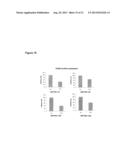 ErbB3 BINDING ANTIBODY diagram and image