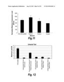 TISSUE SCAFFOLDS DERIVED FROM FORESTOMACH EXTRACELLULAR MATRIX diagram and image