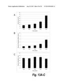 TISSUE SCAFFOLDS DERIVED FROM FORESTOMACH EXTRACELLULAR MATRIX diagram and image