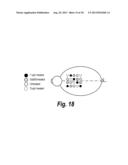 TISSUE SCAFFOLDS DERIVED FROM FORESTOMACH EXTRACELLULAR MATRIX diagram and image