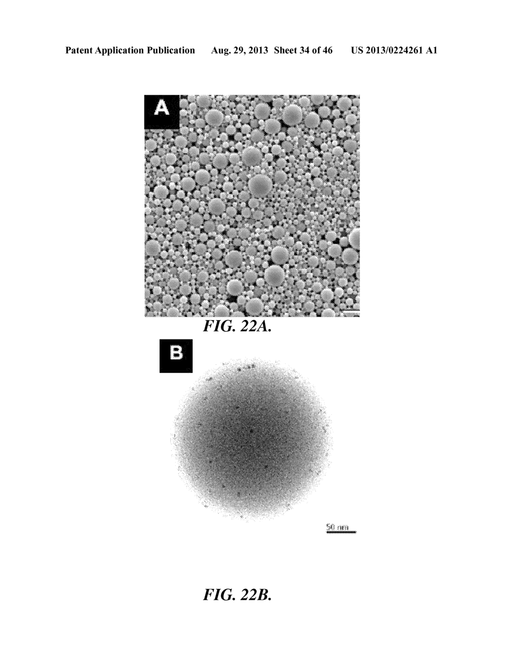 ENVIRONMENTALLY-RESPONSIVE NANOCOMPOSITES AND METHODS OF THEIR USE - diagram, schematic, and image 35