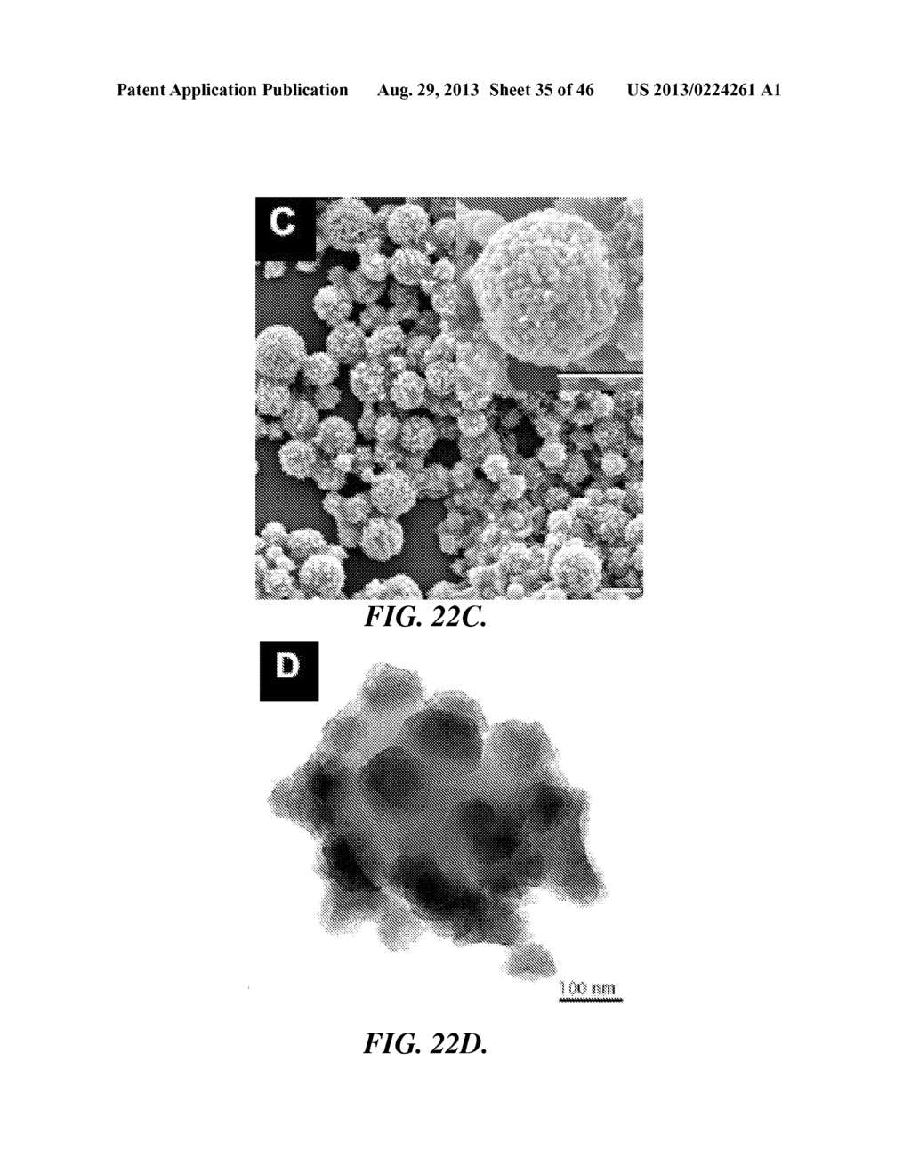ENVIRONMENTALLY-RESPONSIVE NANOCOMPOSITES AND METHODS OF THEIR USE - diagram, schematic, and image 36