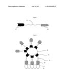 Biofunctional Anchored Extended-Wear Cosmetics diagram and image