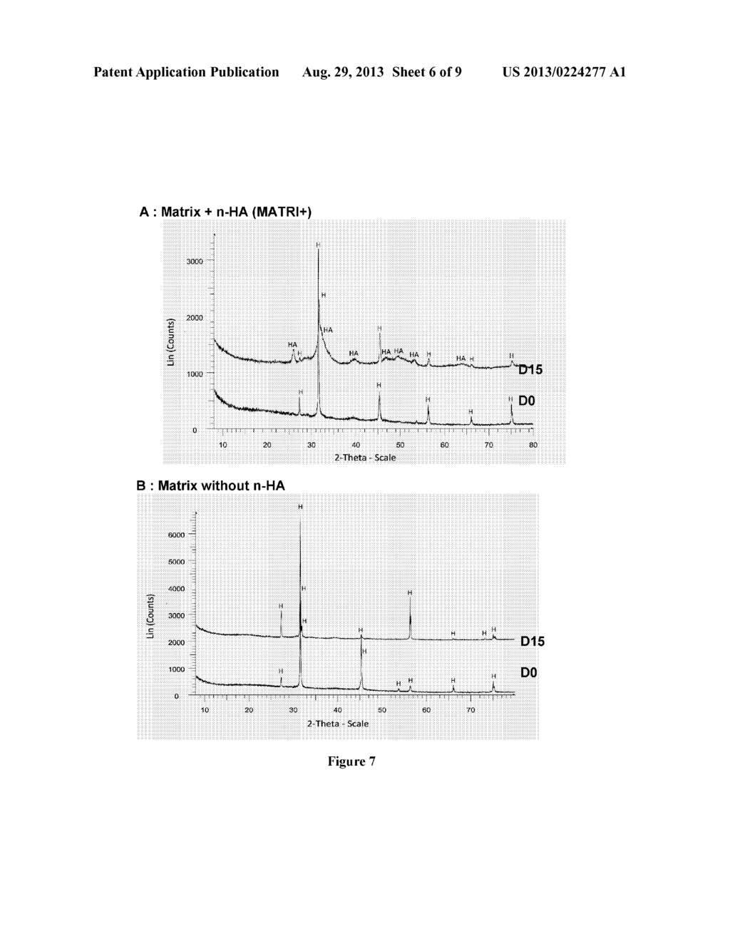 POROUS POLYSACCHARIDE SCAFFOLD COMPRISING NANO-HYDROXYAPATITE AND USE FOR     BONE FORMATION - diagram, schematic, and image 07