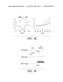 METHODS OF IDENTIFYING INSECT-TRPA1 MODULATORS diagram and image