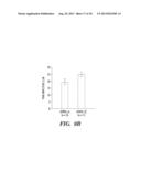 METHODS OF IDENTIFYING INSECT-TRPA1 MODULATORS diagram and image