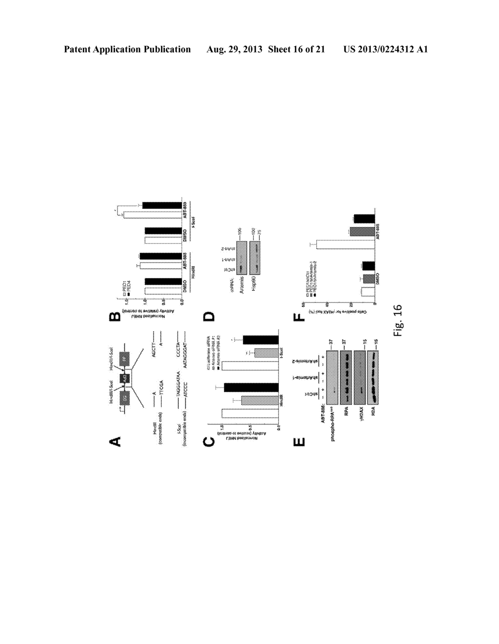 METHODS AND MATERIALS FOR ASSESSING RESPONSIVENESS TO PARP INHIBITORS AND     PLATINATING AGENTS - diagram, schematic, and image 17