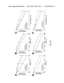 METHODS AND MATERIALS FOR ASSESSING RESPONSIVENESS TO PARP INHIBITORS AND     PLATINATING AGENTS diagram and image