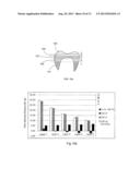 Non-Pre-Colored Multi-Layer Zirconia Dental Blank that has a Gradual     Change in Chroma through a Thickness After Sintering diagram and image