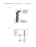 Lithium Ion Battery And Method For Producing The Same diagram and image