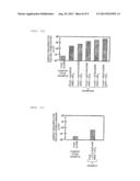 Lithium Ion Battery And Method For Producing The Same diagram and image