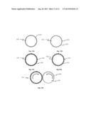 MASK FOR NEAR-FIELD LITHOGRAPHY AND FABRICATION THE SAME diagram and image