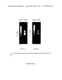 ANALYTICAL METHODS FOR CELL FREE NUCLEIC ACIDS AND APPLICATIONS diagram and image