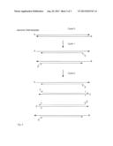 Method for accurately counting starting molecules diagram and image