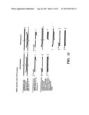 DETECTION OF NUCLEIC ACID SEQUENCE DIFFERENCES USING COUPLED LIGASE     DETECTION AND POLYMERASE CHAIN REACTIONS diagram and image