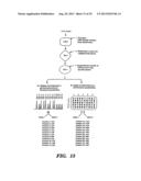 DETECTION OF NUCLEIC ACID SEQUENCE DIFFERENCES USING COUPLED LIGASE     DETECTION AND POLYMERASE CHAIN REACTIONS diagram and image