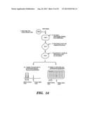 DETECTION OF NUCLEIC ACID SEQUENCE DIFFERENCES USING COUPLED LIGASE     DETECTION AND POLYMERASE CHAIN REACTIONS diagram and image