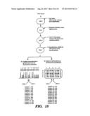 DETECTION OF NUCLEIC ACID SEQUENCE DIFFERENCES USING COUPLED LIGASE     DETECTION AND POLYMERASE CHAIN REACTIONS diagram and image