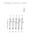 DETECTION OF NUCLEIC ACID SEQUENCE DIFFERENCES USING COUPLED LIGASE     DETECTION AND POLYMERASE CHAIN REACTIONS diagram and image