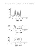 DETECTION OF NUCLEIC ACID SEQUENCE DIFFERENCES USING COUPLED LIGASE     DETECTION AND POLYMERASE CHAIN REACTIONS diagram and image