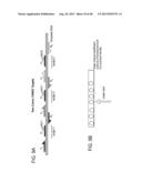 DIGITAL ANALYTE ANALYSIS diagram and image