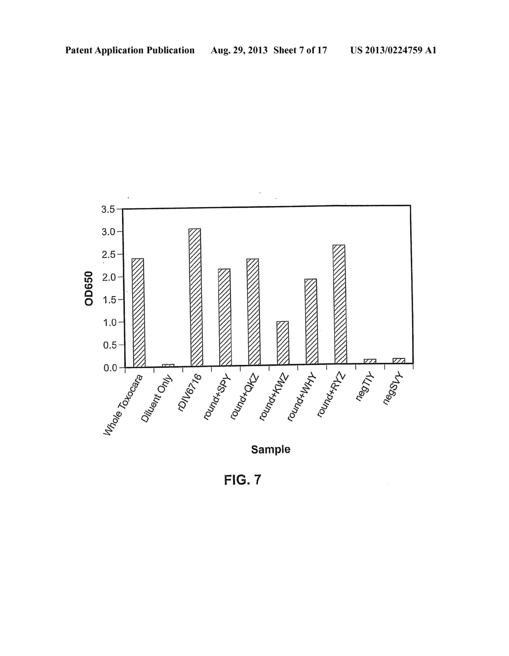 METHODS, DEVICES, KITS AND COMPOSITIONS FOR DETECTING ROUNDWORM - diagram, schematic, and image 08