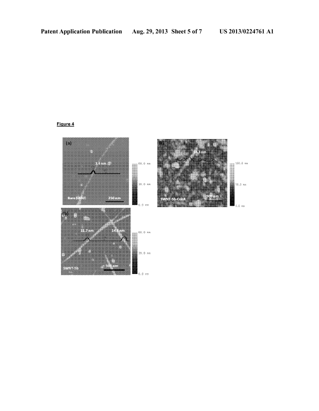 NON COVALENT MOLECULAR STRUCTURE, COMPRISING A PORPHYRIN BASED     GLYCOCONJUGATE, DEVICE COMPRISING THE SAME AND ITS USE FOR DETECTION OF     LECTIN - diagram, schematic, and image 06