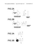 BIOLOGICAL MOLECULE DETECTING APPARATUS AND BIOLOGICAL MOLECULE DETECTING     METHOD diagram and image