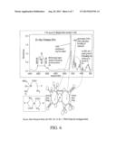 MINERAL-PEPTIDE CHELATES diagram and image