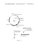 METHOD FOR PRODUCING GLYCOPROTEIN HAVING MANNOSE RESIDUE AS NON-REDUCING     END OF SUGAR CHAIN diagram and image