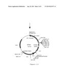 METHOD FOR PRODUCING GLYCOPROTEIN HAVING MANNOSE RESIDUE AS NON-REDUCING     END OF SUGAR CHAIN diagram and image