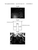 ELECTRODE HAVING ENZYME CRYSTALS IMMOBILIZED THEREON, METHOD FOR PRODUCING     ELECTRODE HAVING ENZYME CRYSTALS IMMOBILIZED THEREON, AND BIOLOGICAL FUEL     CELL AND BIOSENSOR PROVIDED WITH ELECTRODE HAVING ENZYME CRYSTALS     IMMOBILIZED THEREON diagram and image