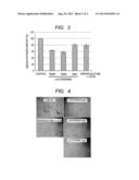 ANTI-ANDROGENIC AGENT, SEBUM SECRETION BLOCKER, HAIR GROWTH STIMULANT, AND     FOOD OR BEVERAGE diagram and image