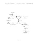 RECOMBINANT MICROORGANISMS AND USES THEREFOR diagram and image