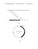 RECOMBINANT MICROORGANISMS AND USES THEREFOR diagram and image