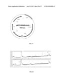 RECOMBINANT MICROORGANISMS AND USES THEREFOR diagram and image