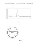 RECOMBINANT MICROORGANISMS AND USES THEREFOR diagram and image