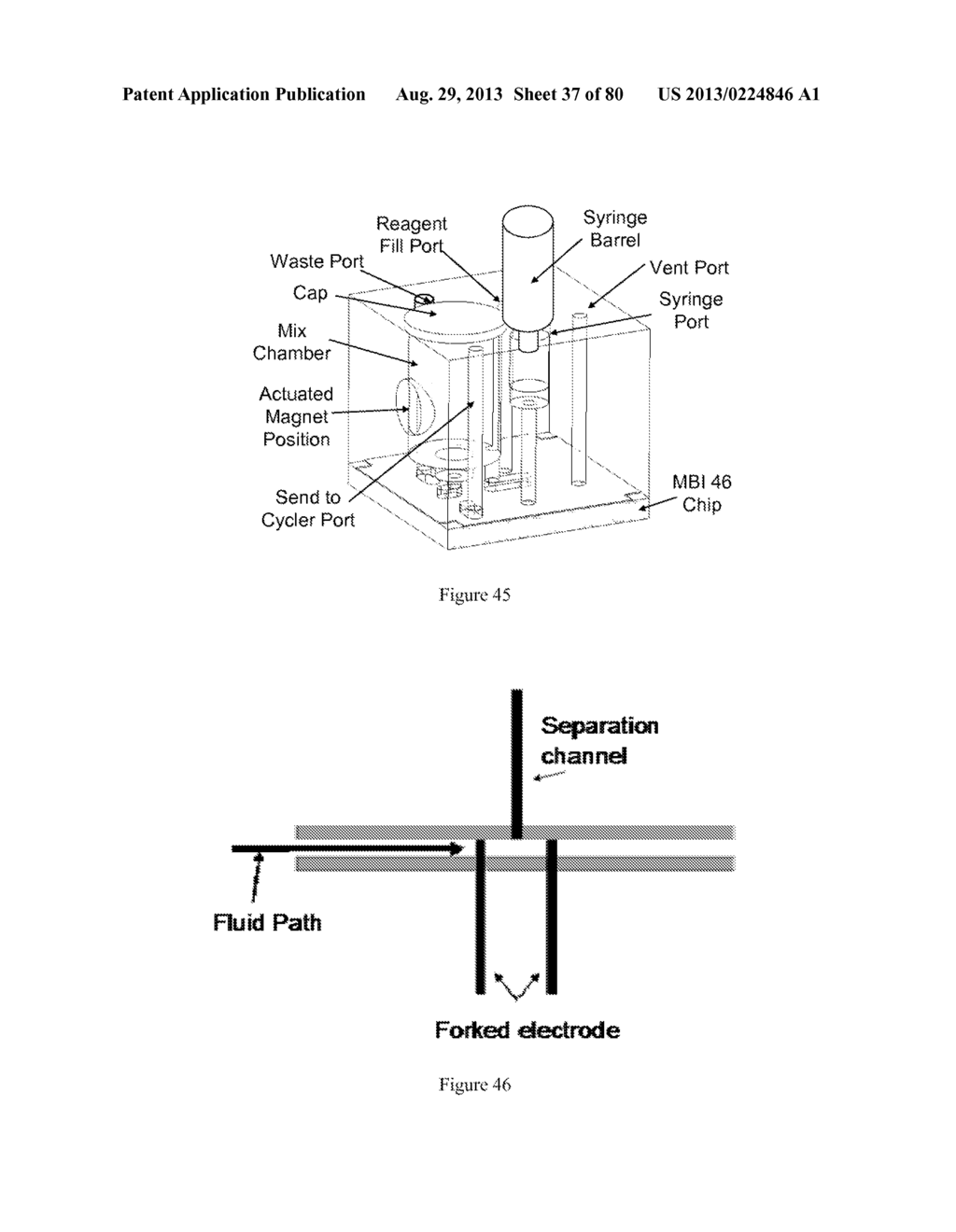 Universal Sample Preparation System and Use in an Integrated Analysis     System - diagram, schematic, and image 38