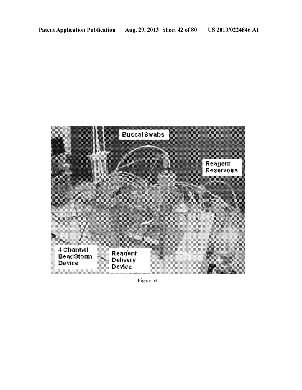 Universal Sample Preparation System and Use in an Integrated Analysis     System - diagram, schematic, and image 43