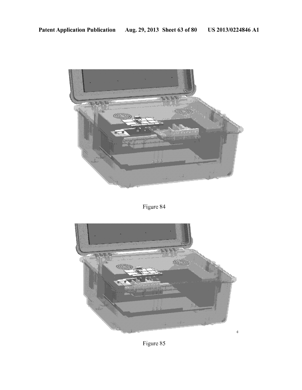 Universal Sample Preparation System and Use in an Integrated Analysis     System - diagram, schematic, and image 64