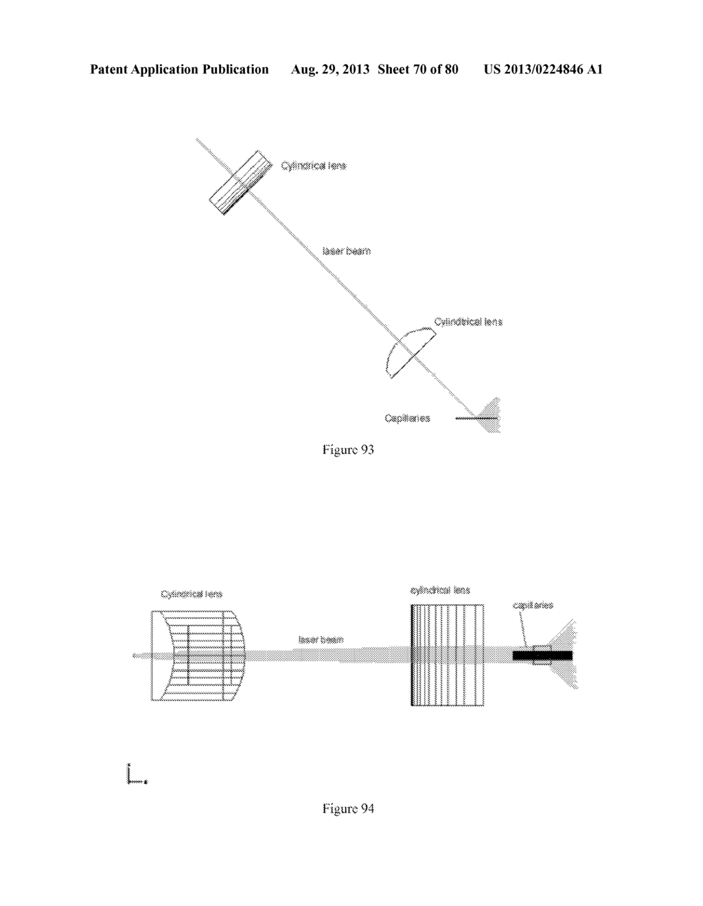 Universal Sample Preparation System and Use in an Integrated Analysis     System - diagram, schematic, and image 71