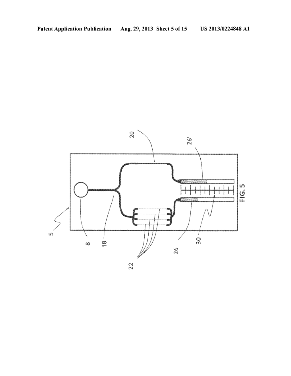 Device and Method for Detection and Quantification of Immunological     Proteins, Pathogenic and Microbial Agents and Cells - diagram, schematic, and image 06